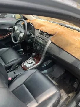 clean and affordable 5